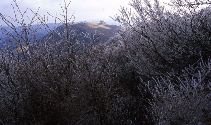 箱根・神山