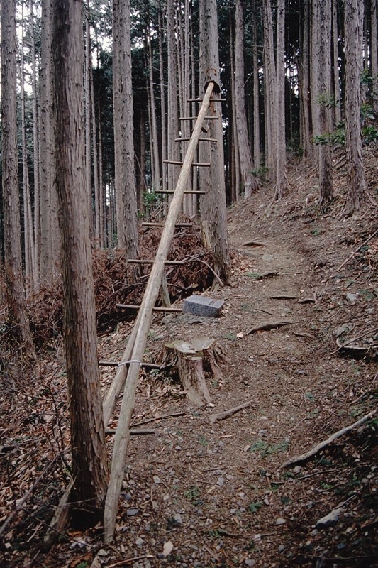 顔振峠