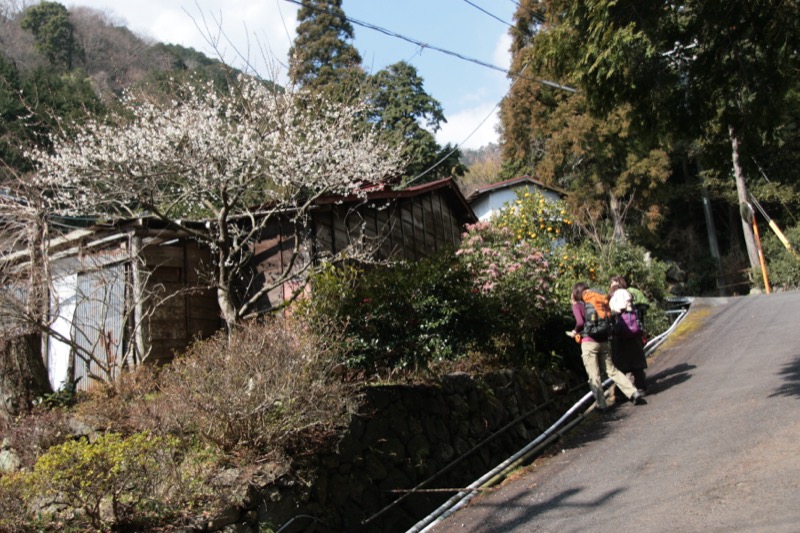 湯河原・城山