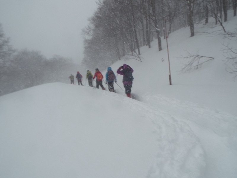 八甲田山