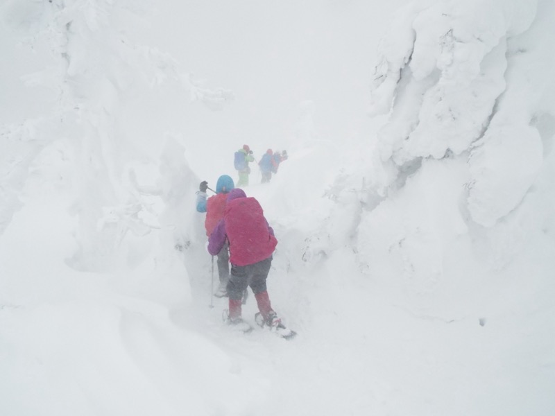 八甲田山