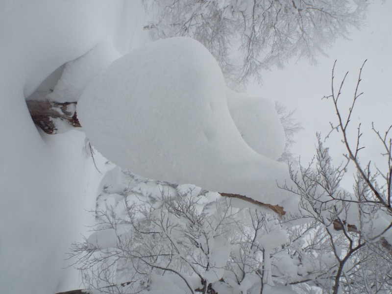 八甲田山