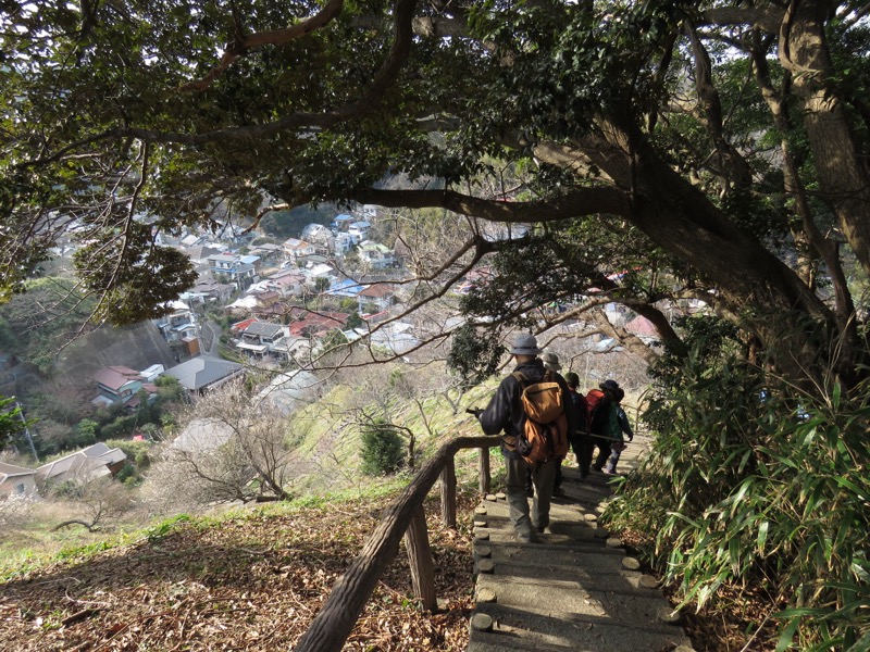 三浦富士