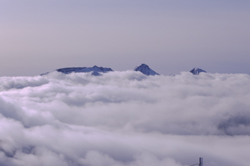 北八ヶ岳