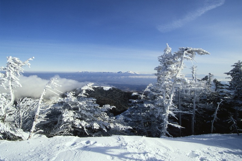 北八ヶ岳