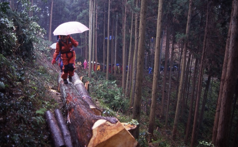 日和田山