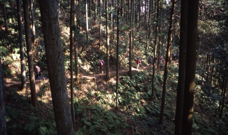 日和田山