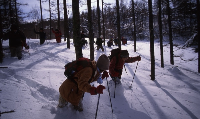 入笠山