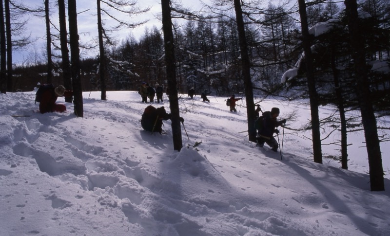 入笠山