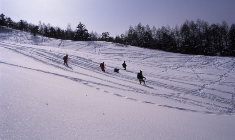 入笠山