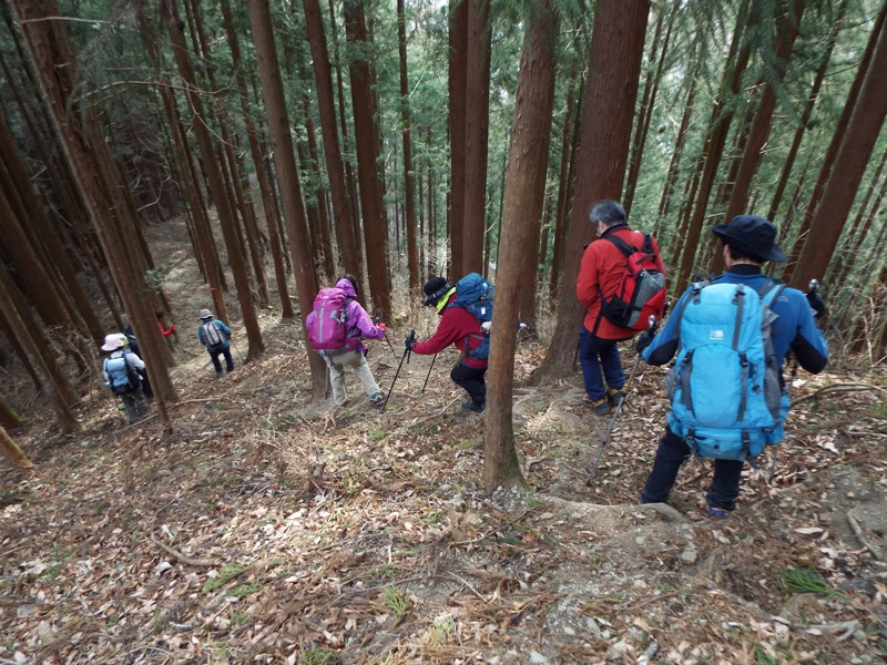 秩父・御岳山