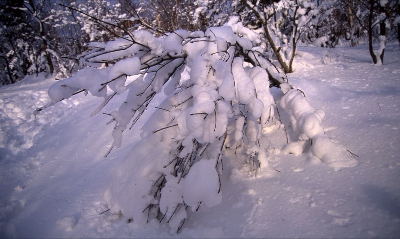 札幌＆雪遊び