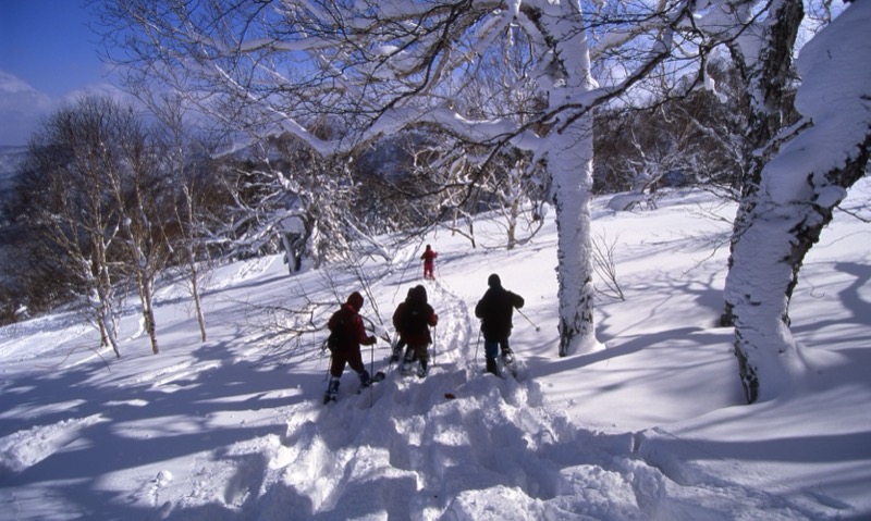 札幌＆雪遊び