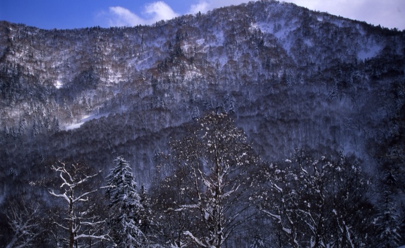 札幌＆雪遊び