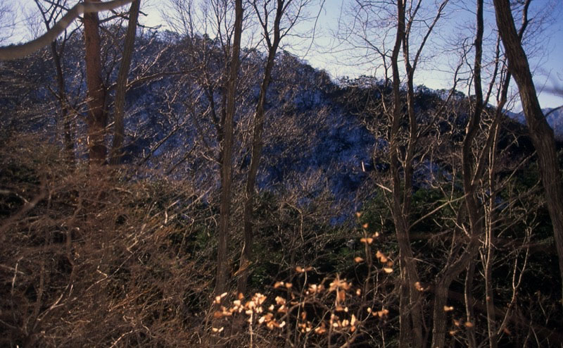 高川山