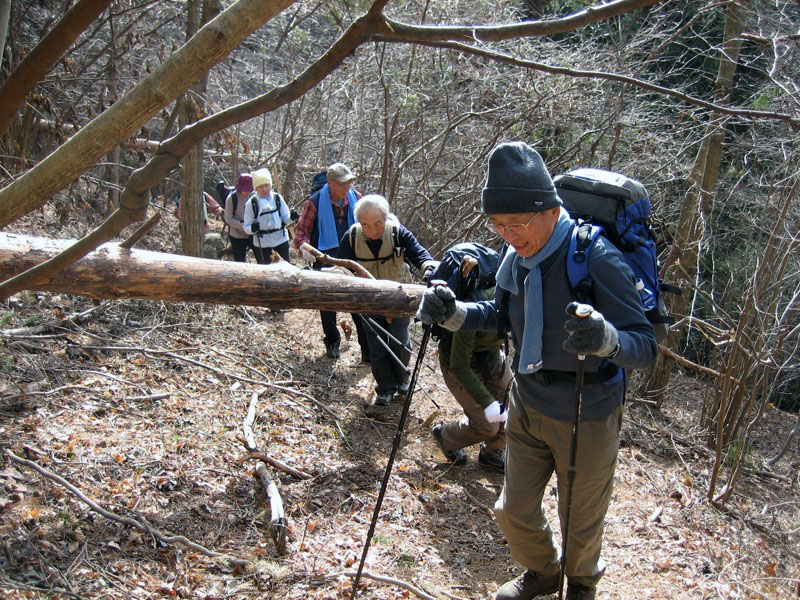 高川山