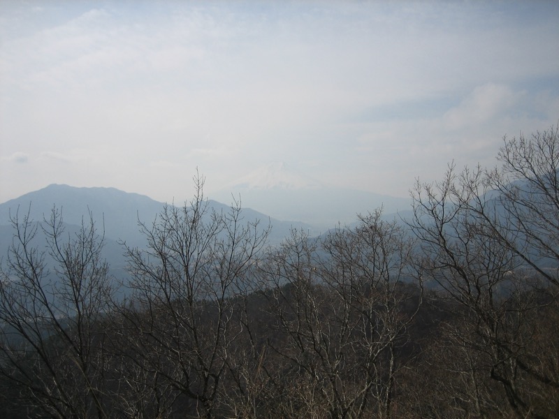高川山