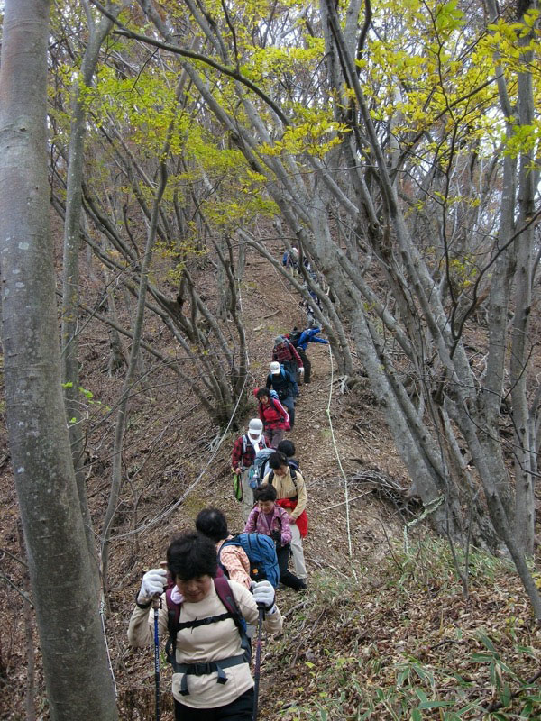 高川山