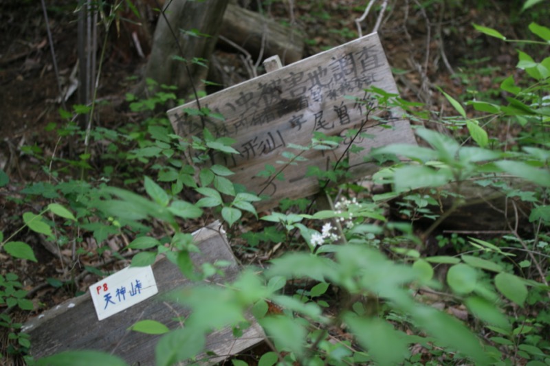 高川山
