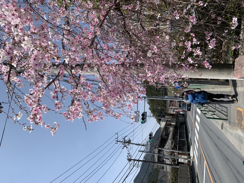 鳩ノ巣渓谷、大多摩ウォーキングトレイル