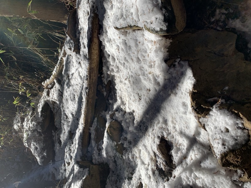 糸の会・金時山