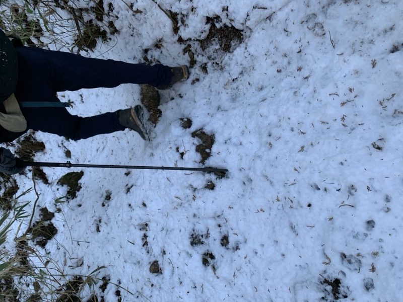 糸の会・金時山