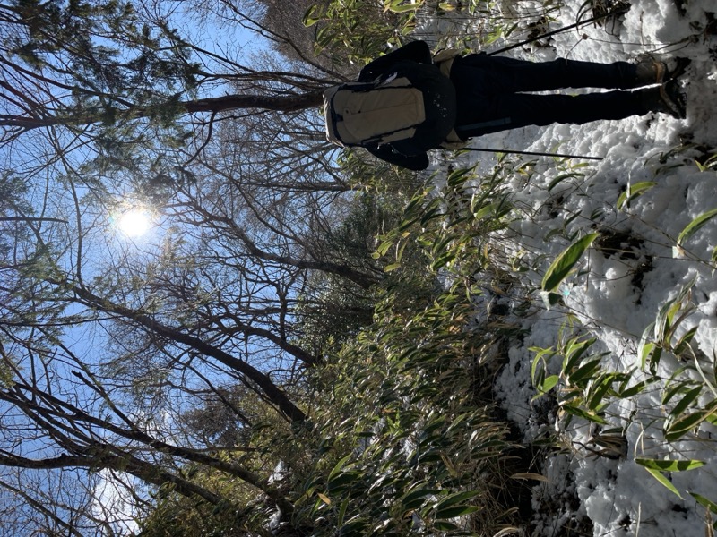 糸の会・金時山