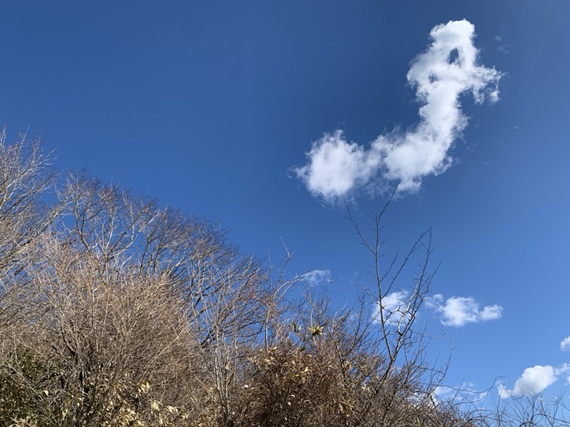糸の会・金時山