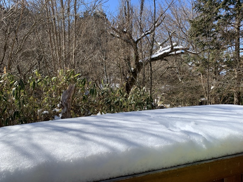 糸の会・金時山