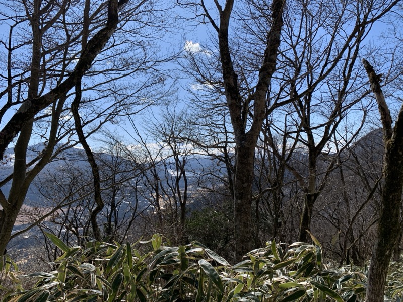 糸の会・金時山