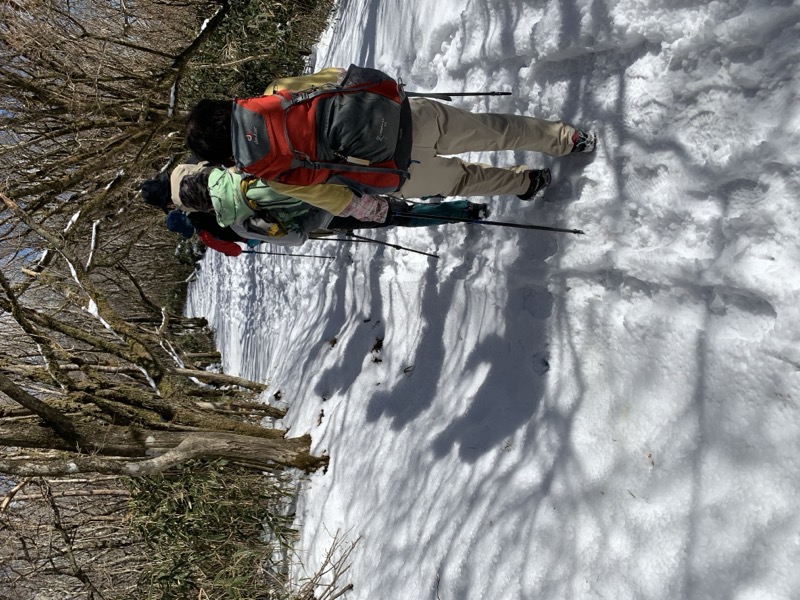 糸の会・金時山