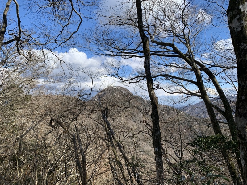 糸の会・金時山
