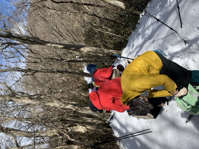 糸の会・金時山