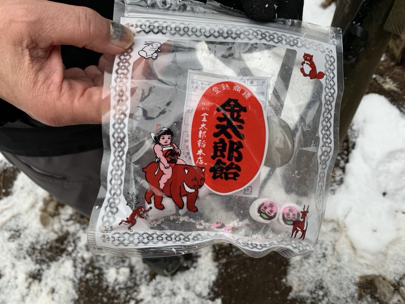 糸の会・金時山