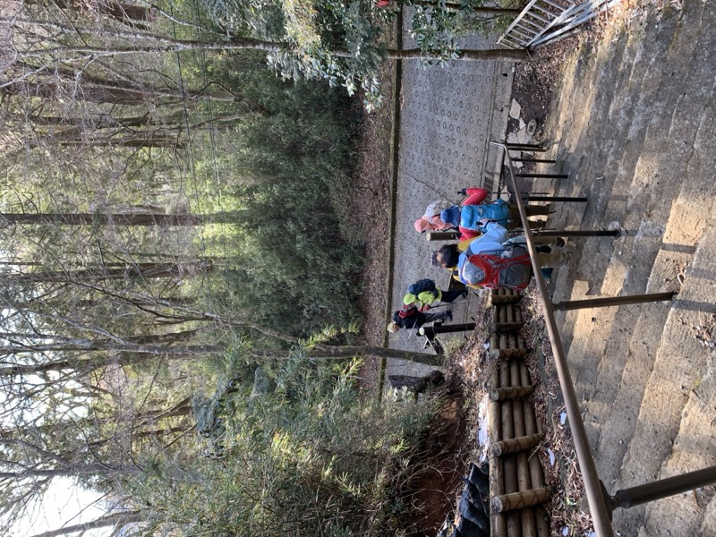 糸の会・金時山