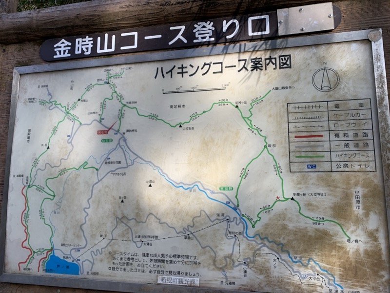 糸の会・金時山