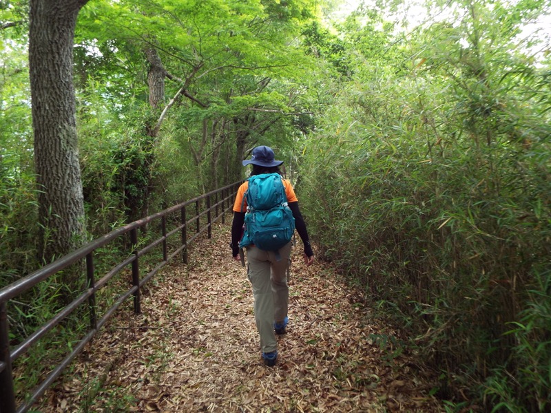 大野山登山