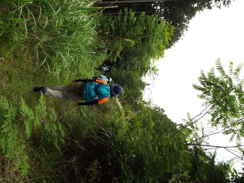 大野山登山