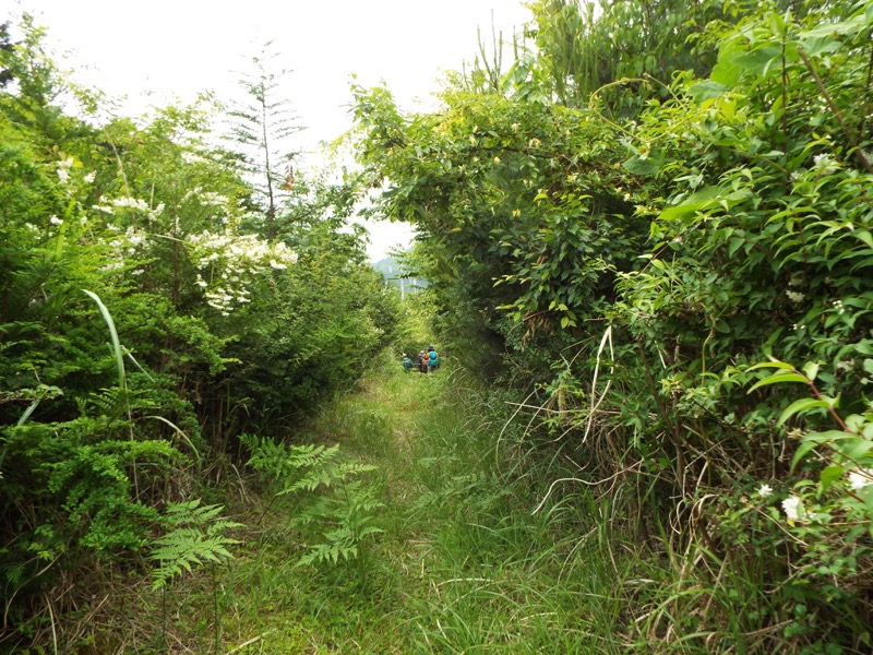 大野山登山