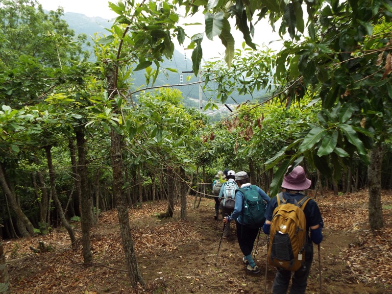 大野山登山