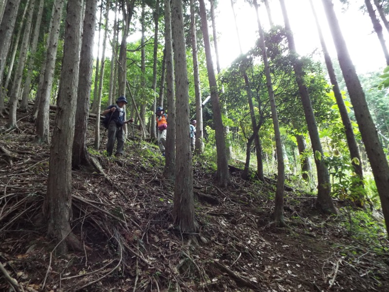 大野山登山