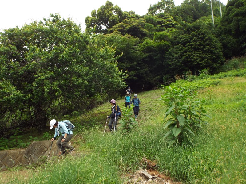 大野山登山