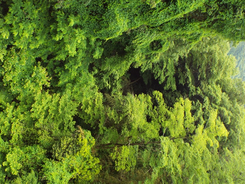 大野山登山