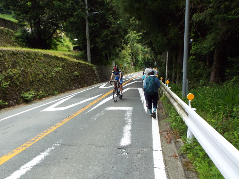 大野山登山