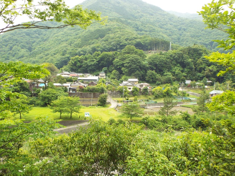 大野山登山