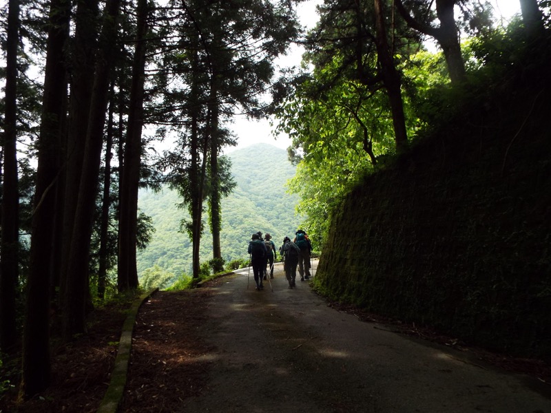 大野山登山