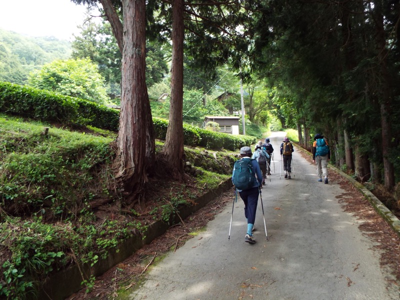 大野山登山