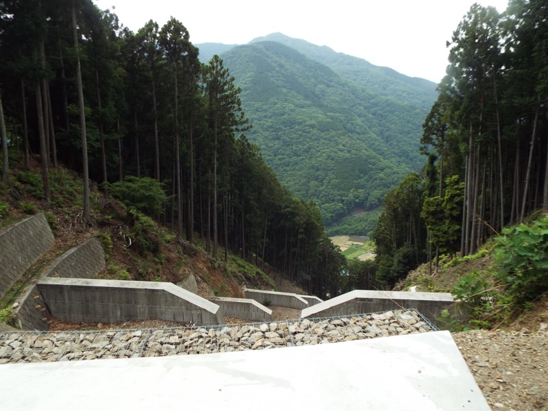 大野山登山