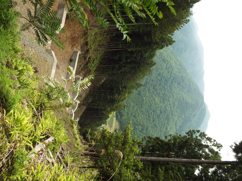 大野山登山