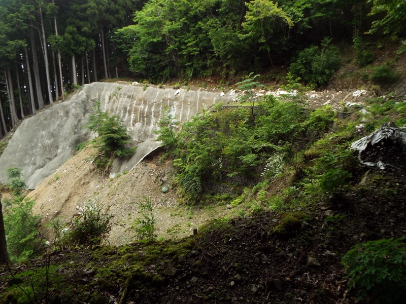 大野山登山